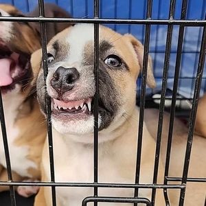 Meet your Posher, Jacqueline